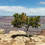 What Can You Do to Be More Resilient?